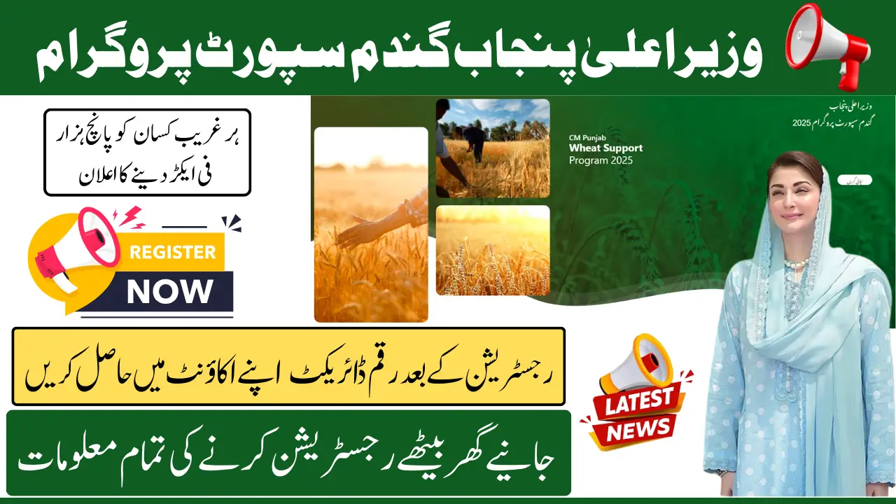 CM Punjab Wheat Support Program 2025 Know Requirements And Online Registration Process