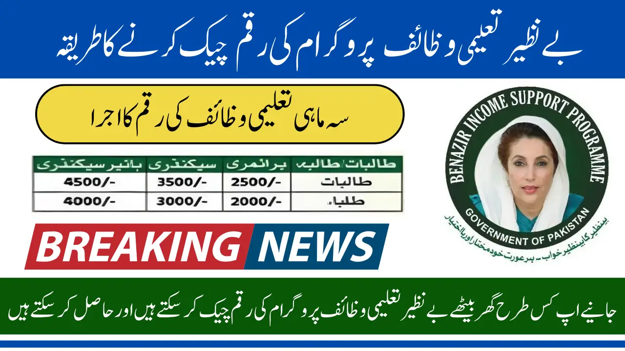How To Check Benazir Taleemi Wazaif Online Know Step By Step Process
