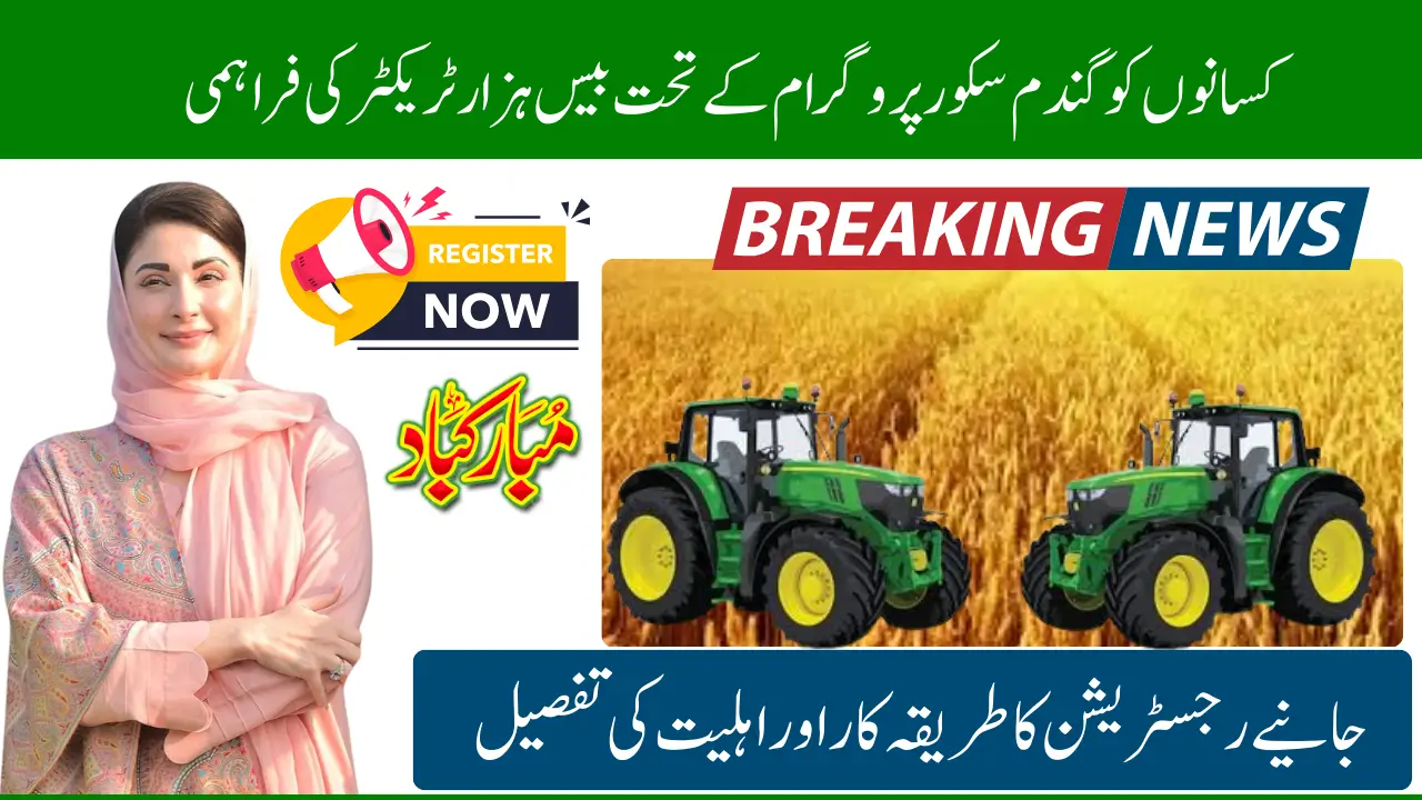 1000 Green Tractors By Punjab Government Under Wheat Support Program For Wheat Formers