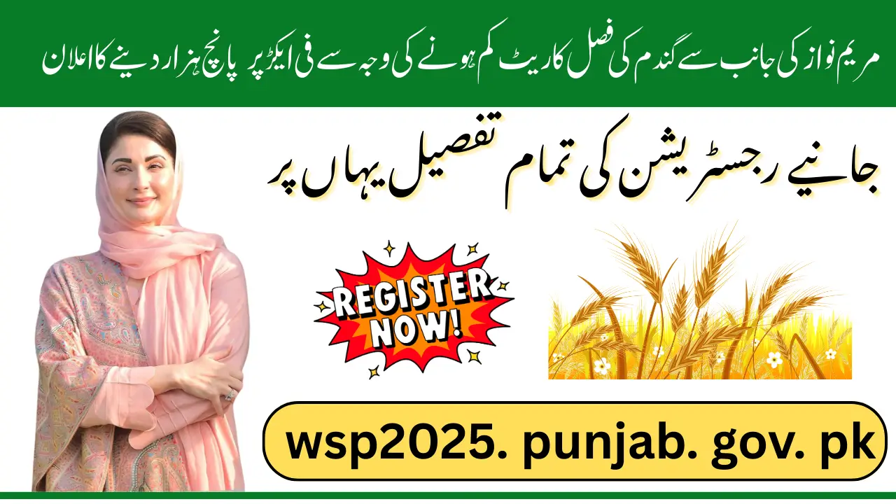 Maryam Nawaz Wheat Support 5000/Acre For Non-Profitable Farmers Know Full Registration Guide