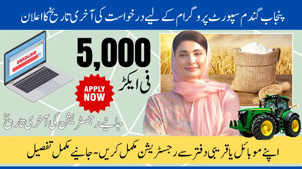 Punjab Wheat Support Program Deadline For Application Know Step By Step Guideline Of Registration
