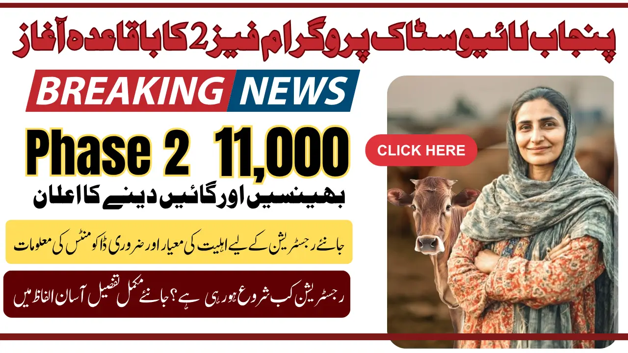 Punjab Livestock Program Phase 2 2025 For Poor Widows And Old Women-Led Families Know Full Detail