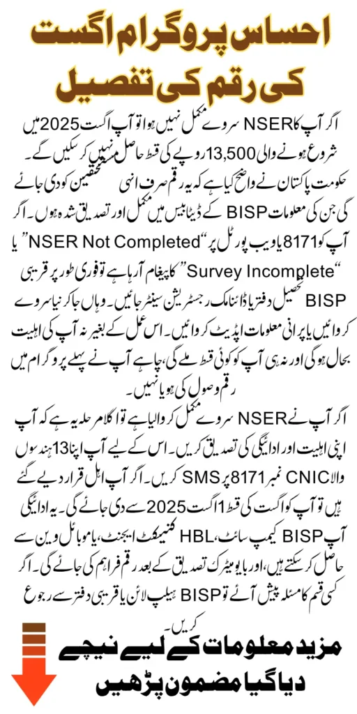 8171 Ehsaas Program Phase 3 August 13500 Announced For NSER Completed Beneficiaries Know Status Check Methods