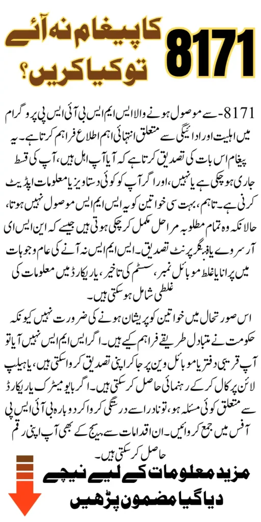 BISP 8171 Payment SMS Delay Even After NSER Survey In 2025 Know Resolution Guide And Alternative Methods