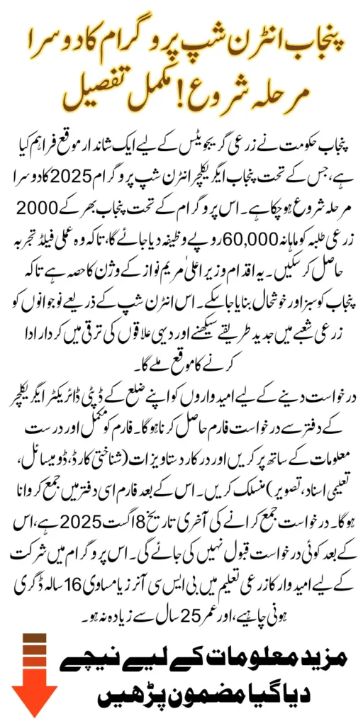 Punjab Internship Program Phase 2 Launched – 60,000 Monthly Stipend For 2,000 Graduates Know Full Detail